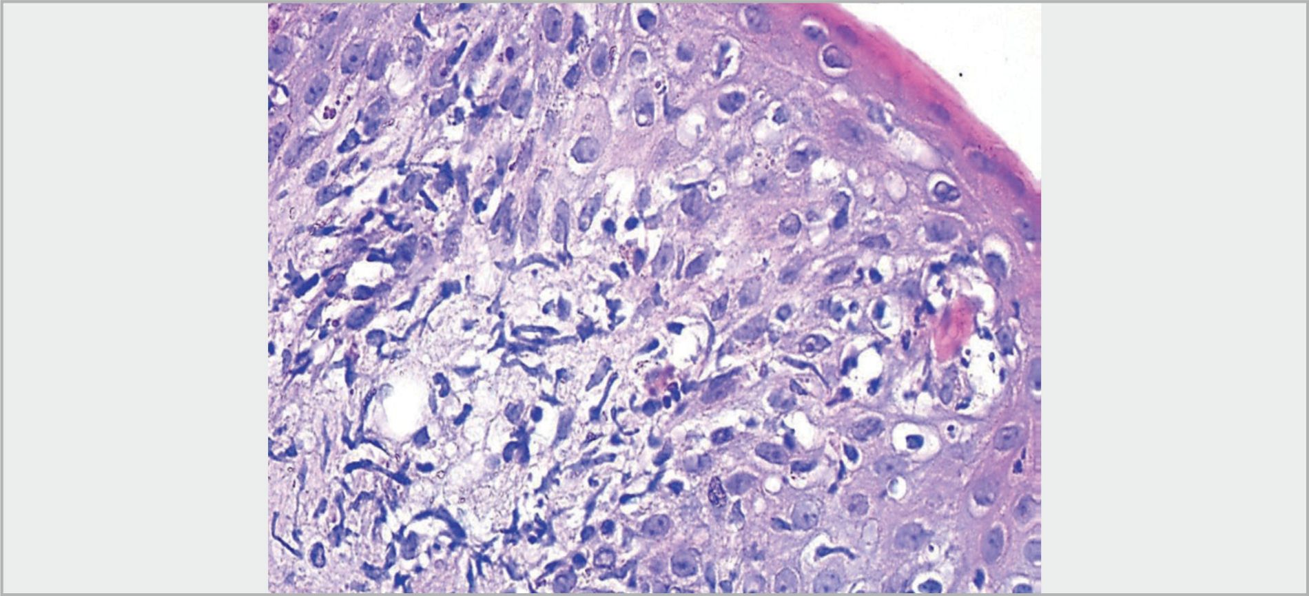 Fig. 16.5