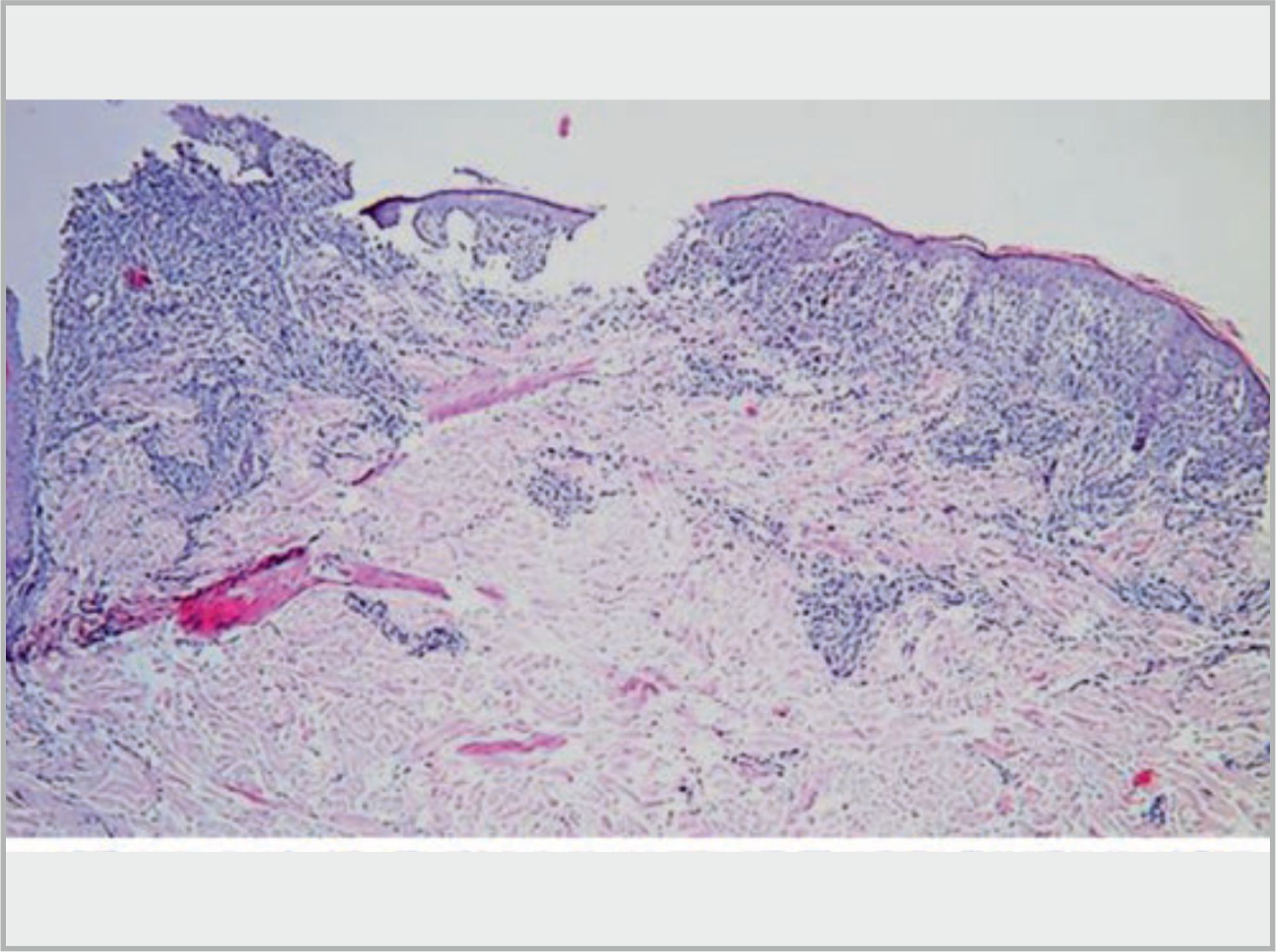Fig. 16.6